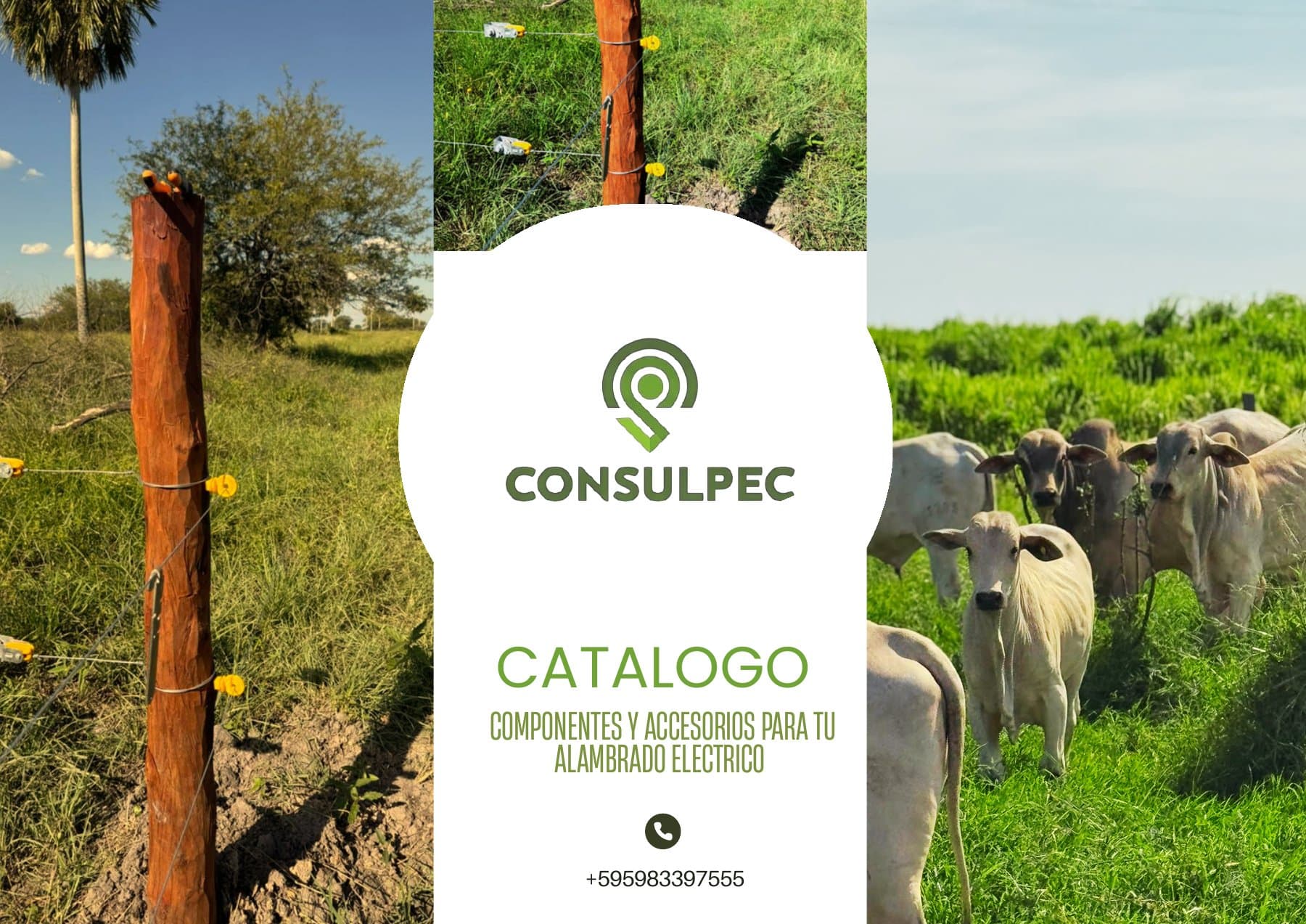 Catálogo de Consulpec, página 1 de 9