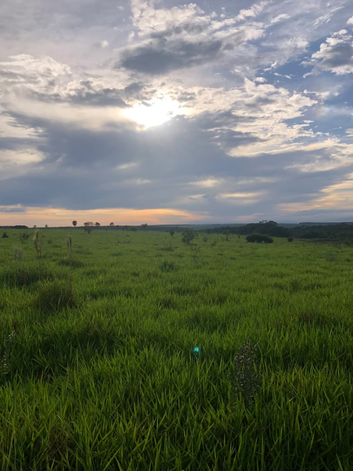 Trabajo de campo de Consulpec en Paraguay, 11
